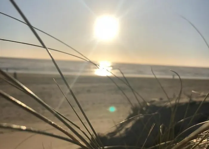 Maison Chaleureuse Bord De La Hébergement de vacances Le Bernard